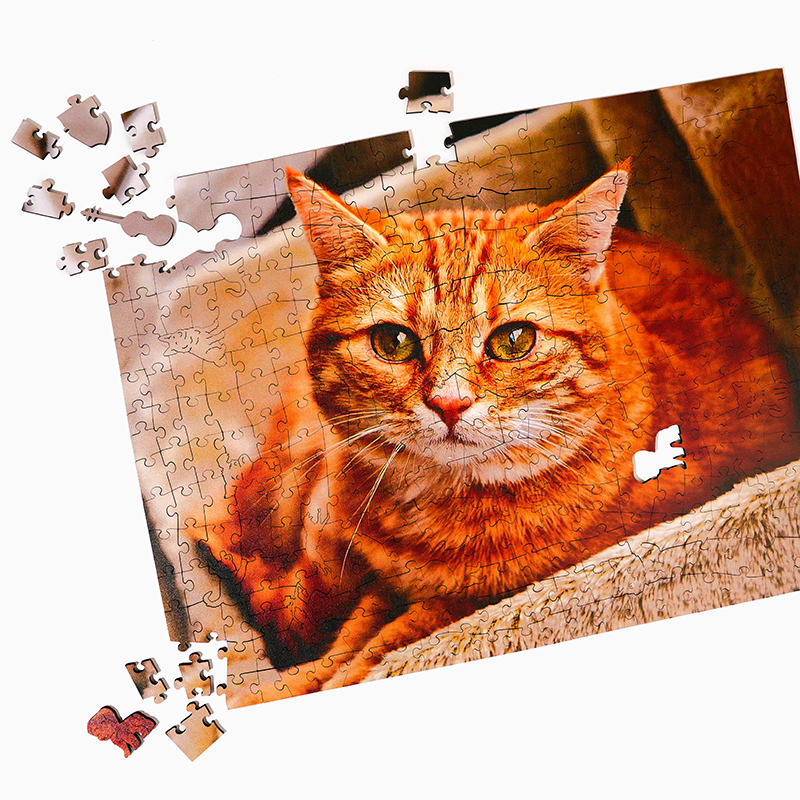 Personalisiertes Katzenliebhaber Foto Holzpuzzle