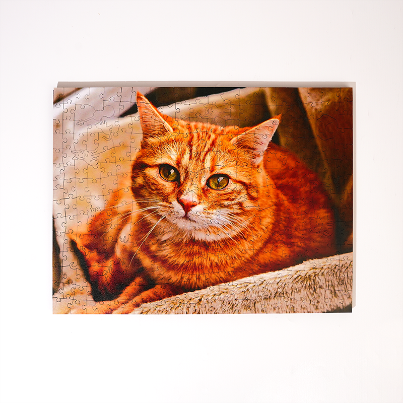 Personalisiertes Katzenliebhaber Foto Holzpuzzle